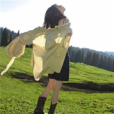 宝物岛